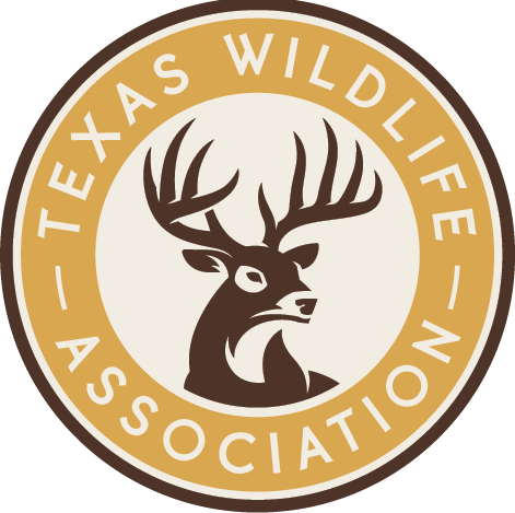 Texas Big Game Awards Celebration - July 31 Lufkin - logo